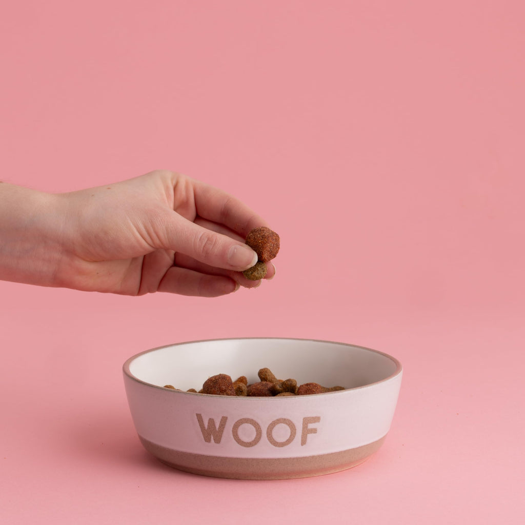 Mason Cash Cream Pet Bowl - “Woof” Collection