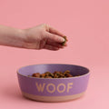 Mason Cash Purple Pet Bowl - “Woof” Collection