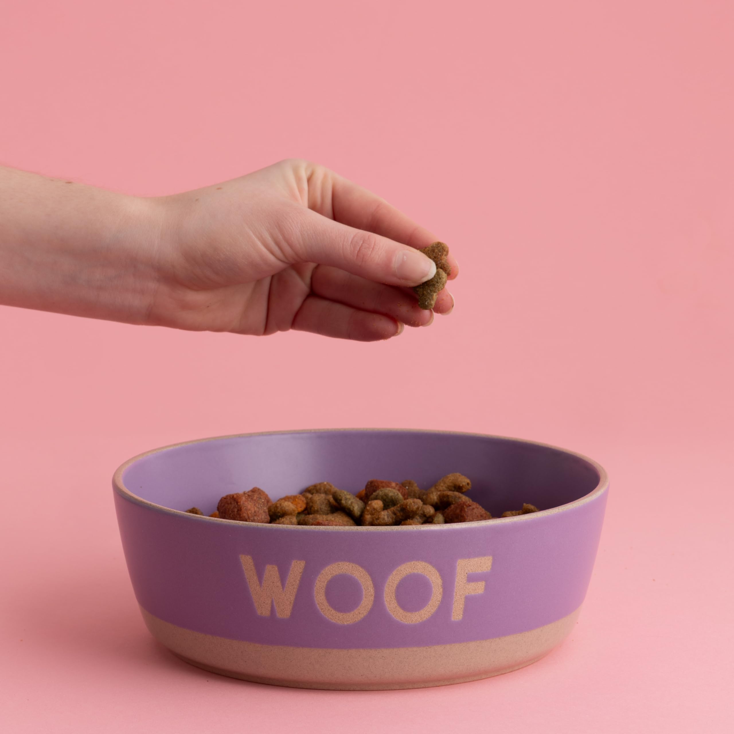 Mason Cash Purple Pet Bowl - “Woof” Collection