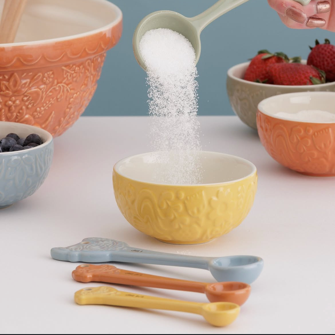 Mason Cash Home to Roost Set 4 Measuring Spoons